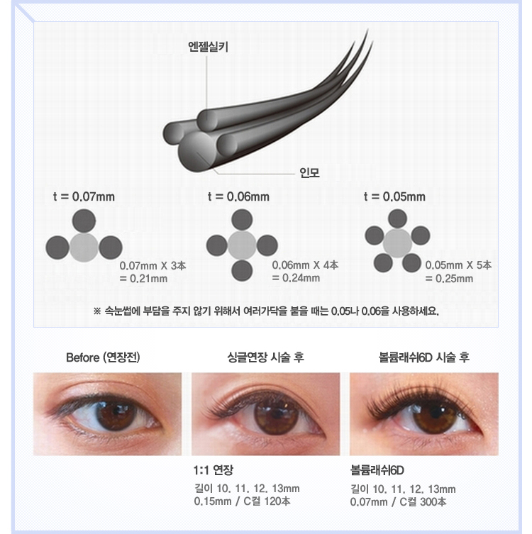 래쉬엔젤 이미지