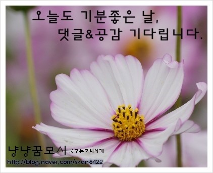 내가만든미케익 이미지