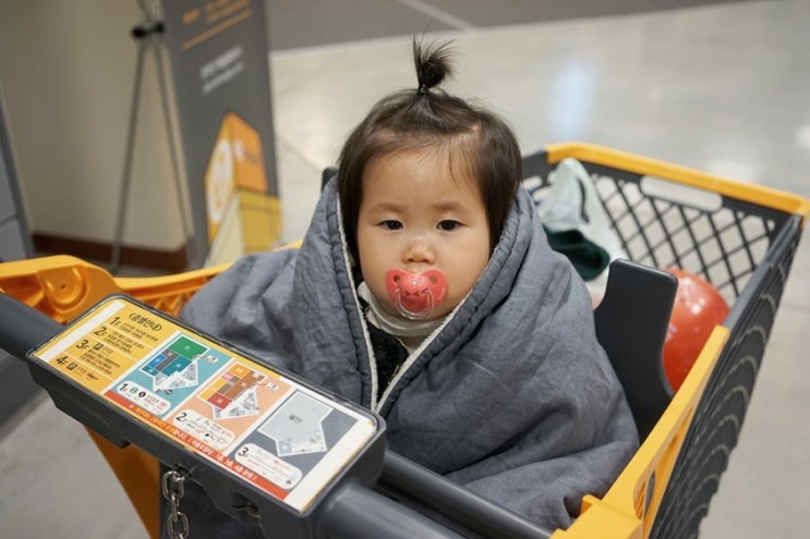 호호 컴퍼니 이미지