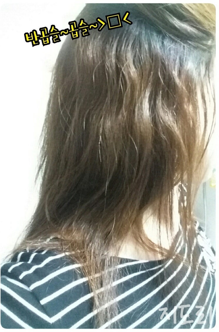 까까보까 이미지