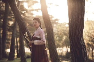 도리화 이미지
