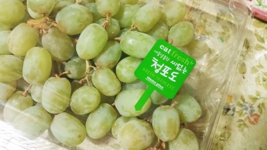 제일한방플러스 이미지