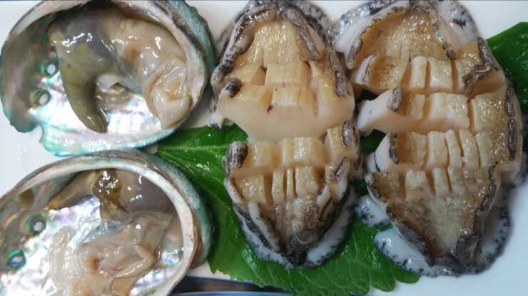 청백회다찌 이미지