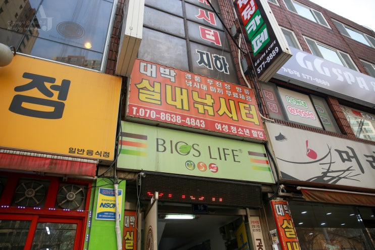대박실내낚시터 이미지