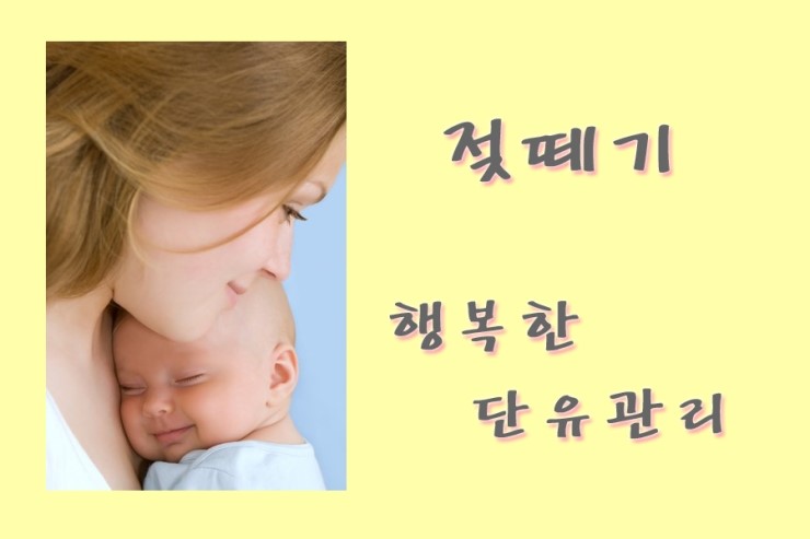 단유통신 이미지