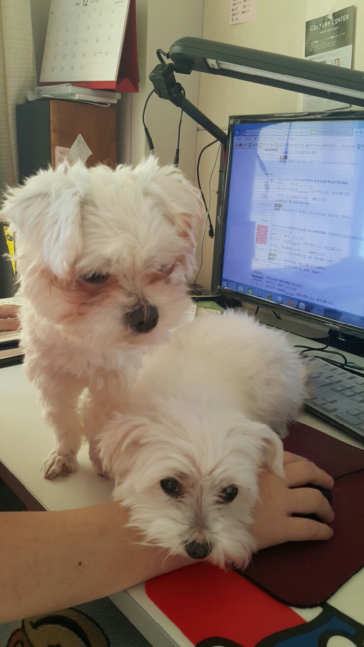 화니컴퓨터 이미지
