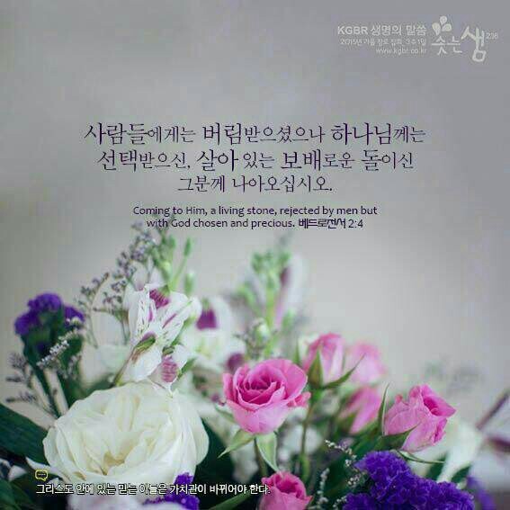 보배로움 이미지