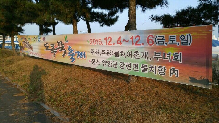 물치항도루묵 이미지