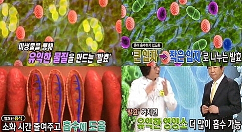 한국고려홍삼제조 이미지