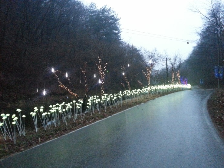 장미길 이미지