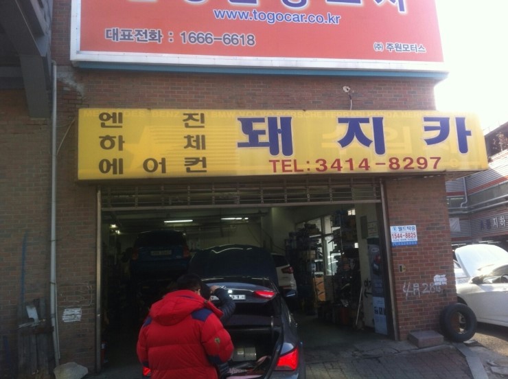 돼지카센터 이미지