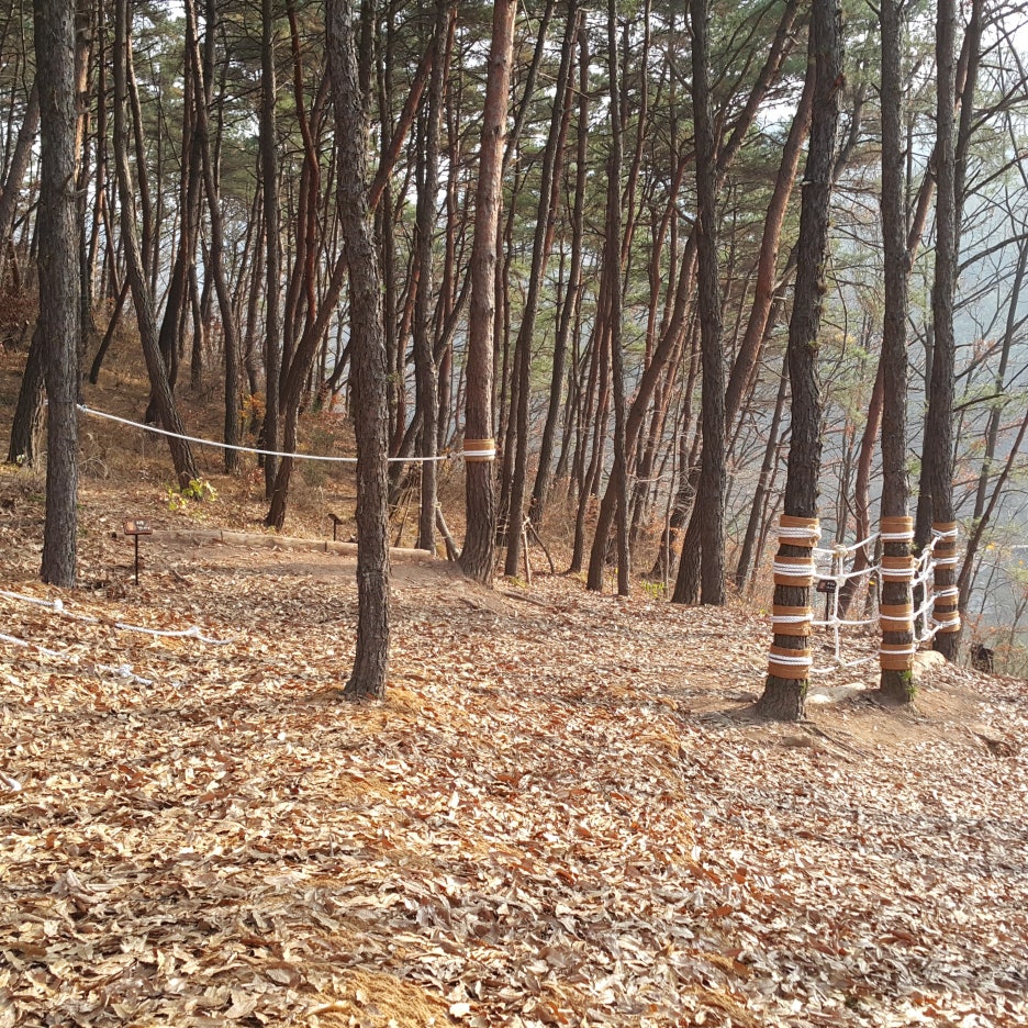 운암지 유아숲체험원 이미지