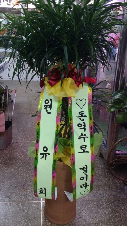 푸르미플라워 이미지