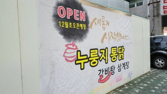 오픈닥트 이미지