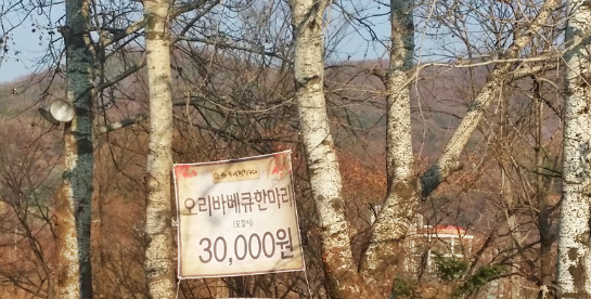 오리다운 오리바베큐 이미지