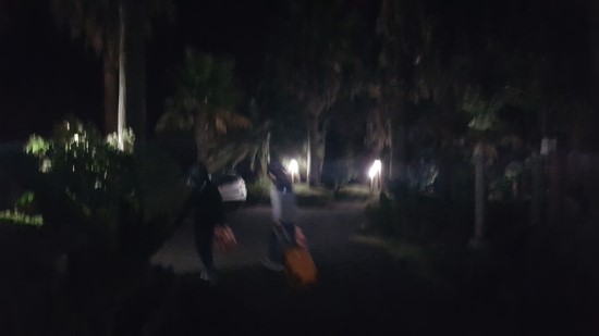 제주 야자원 이미지