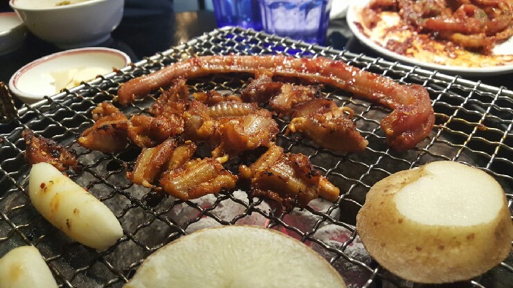 하양통 이미지