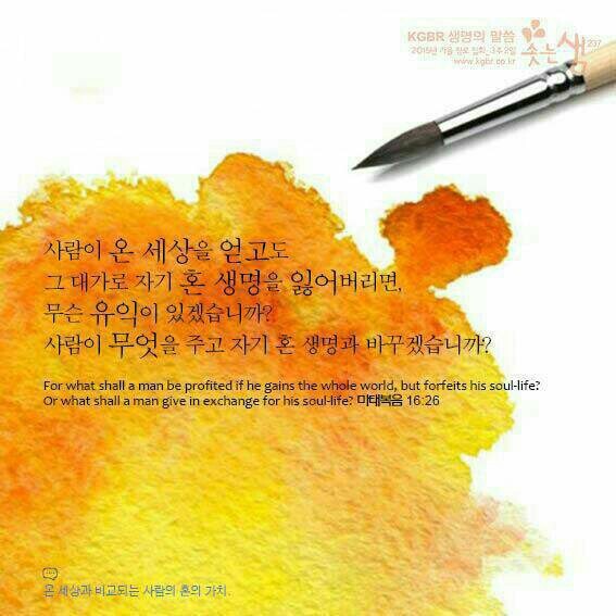 보배로움 이미지