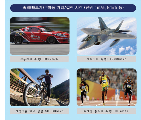 국립광주과학관과 함께 알아보는 동물의 빠르기 : 네이버 블로그