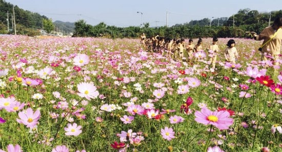 대덕축산 이미지