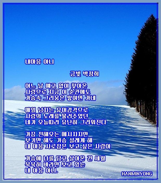 금빛머리 이미지