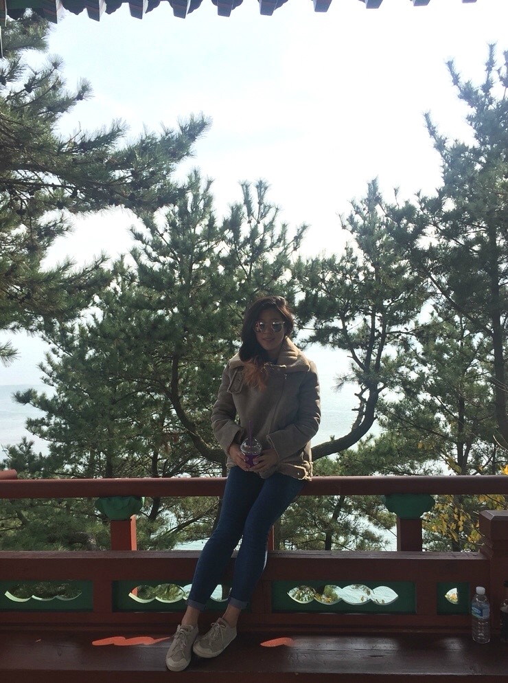 해동포차 이미지