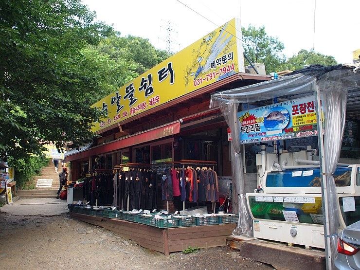 장수육해공 이미지