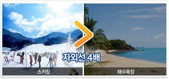 이중세안 이미지