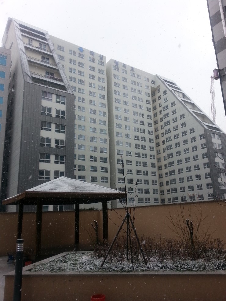 라겐스타일 이미지