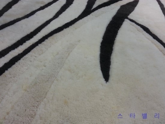 일산세탁 이미지
