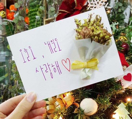 비전플라워 이미지