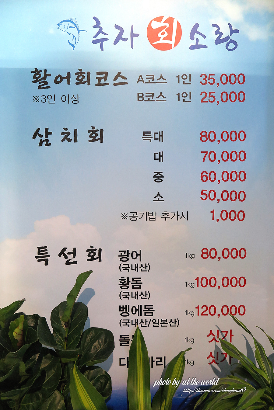 추자회소랑 이미지