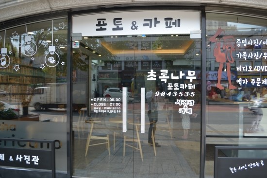 초록나무 이미지