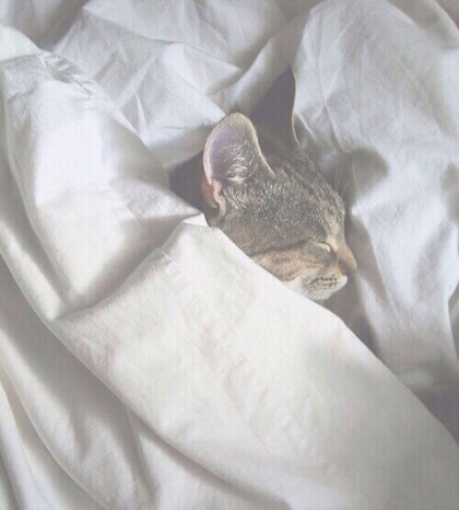 백년짬뽕 이미지