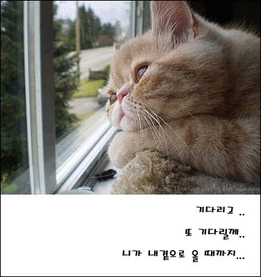 엠아이컬렉션 이미지