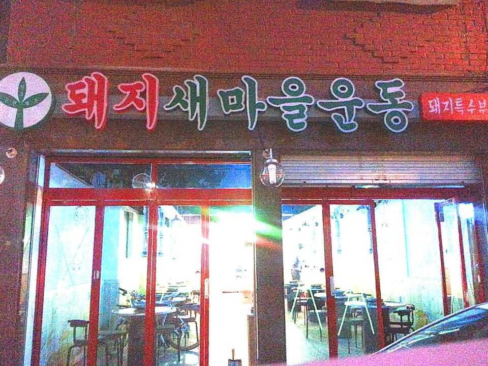 돼지새마을운동 이미지