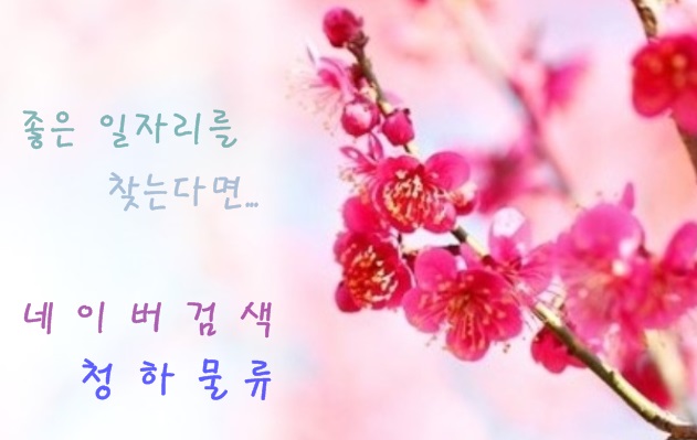 써브원 이미지