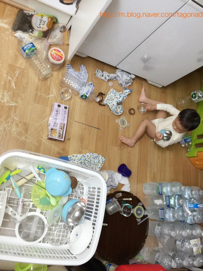 소 사 이미지