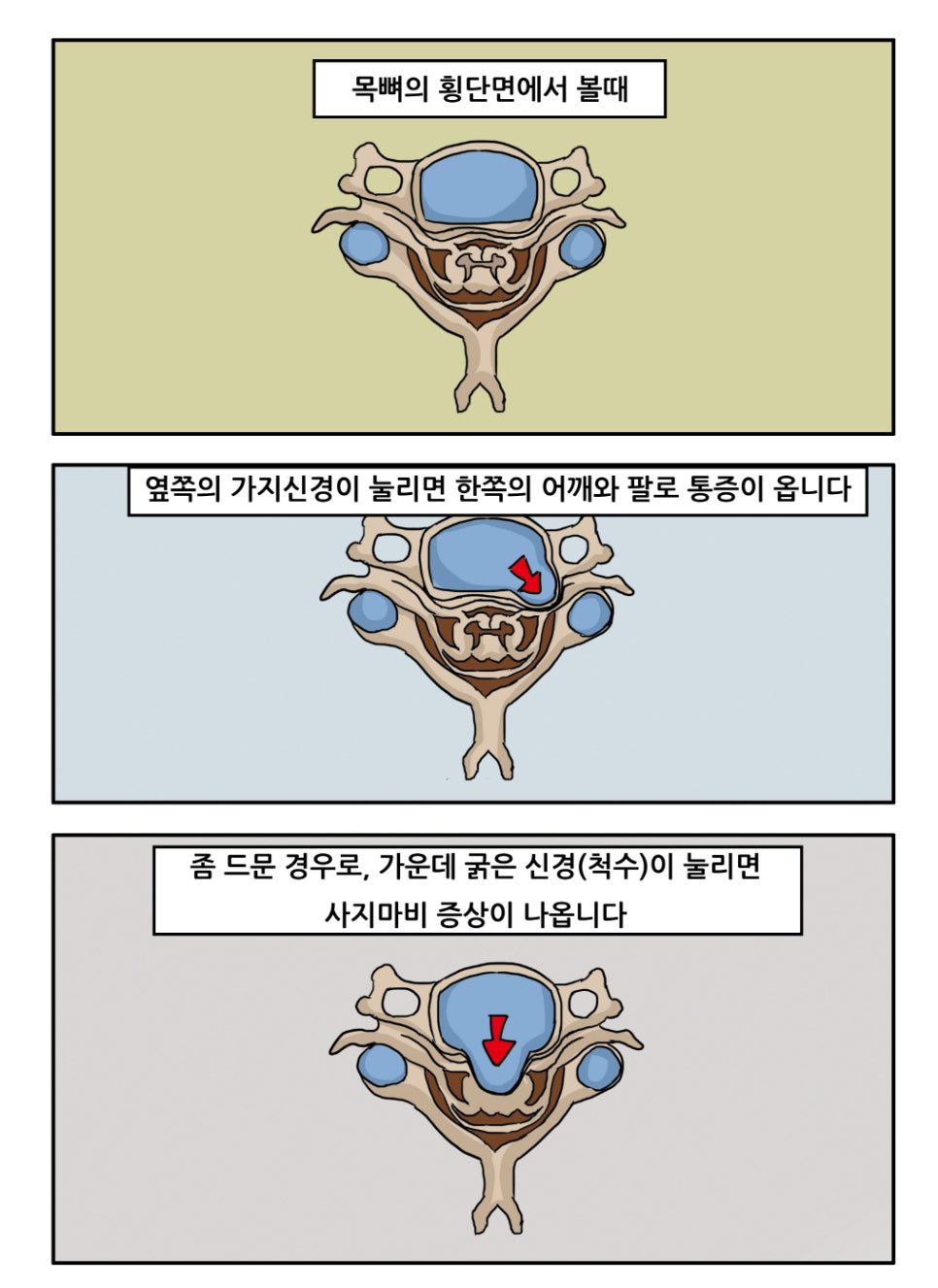 좋은아침병원 이미지