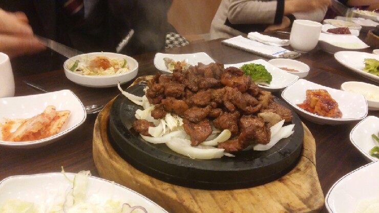 엘림타조 이미지