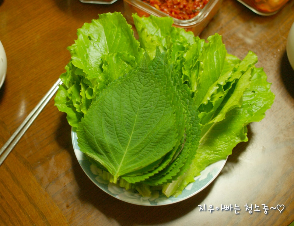 우리집오리 이미지