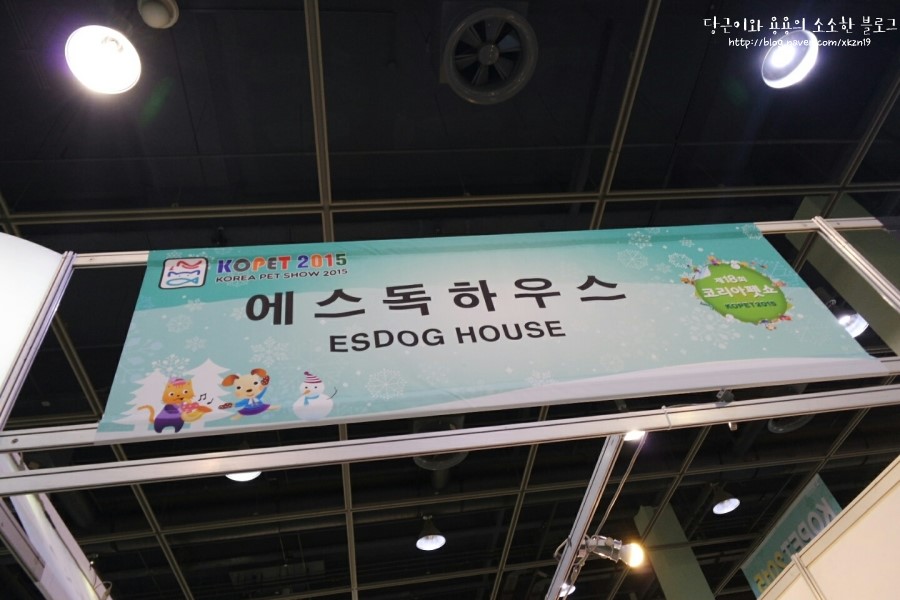 에스독하우스 이미지