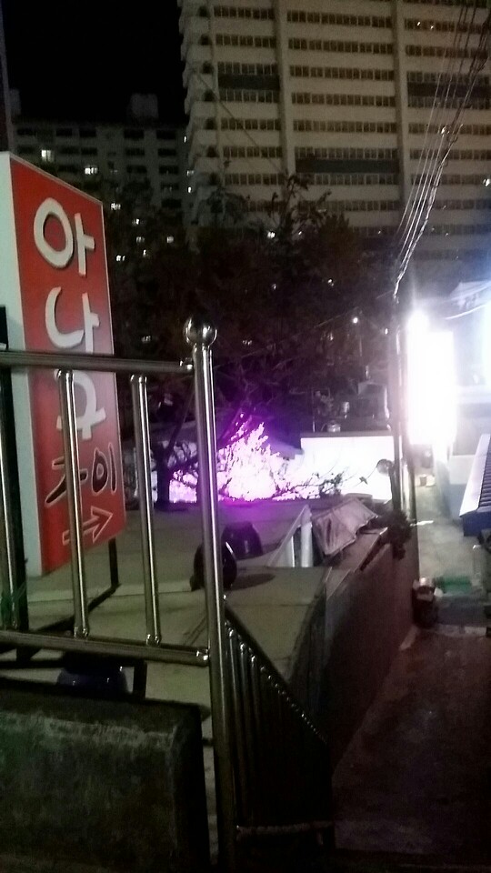 오동나무아나고구이 이미지