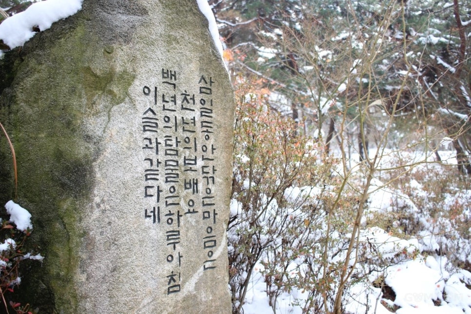 삼일여관 이미지