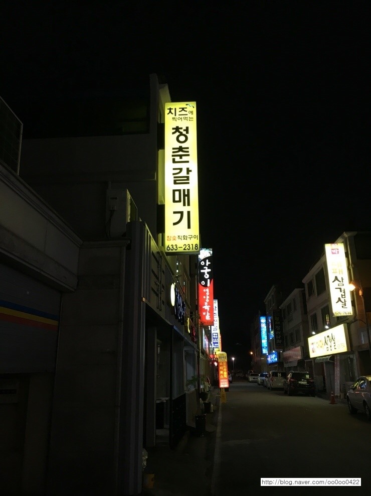 청춘갈매기 이미지