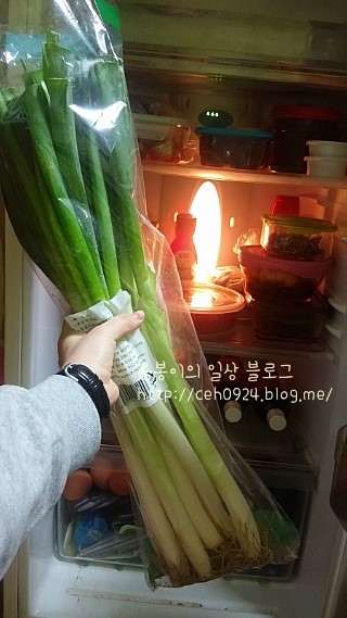 희망초이스 이미지