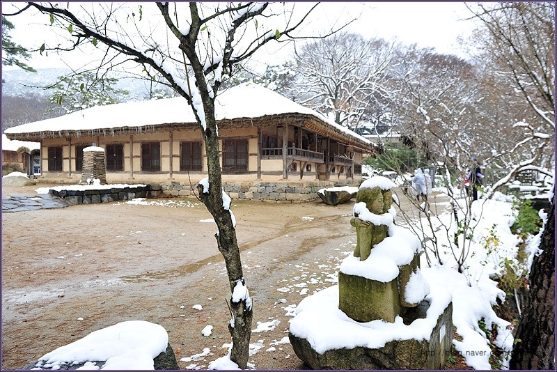 수덕국밥 이미지