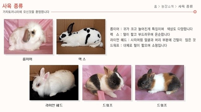 가자토끼나라 이미지