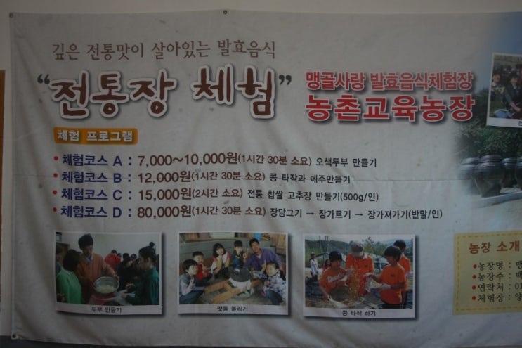 맹골사랑 이미지