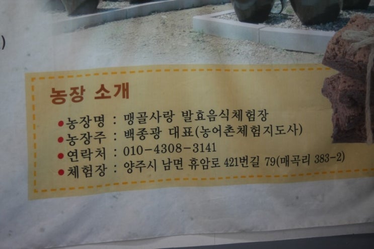 맹골사랑 이미지